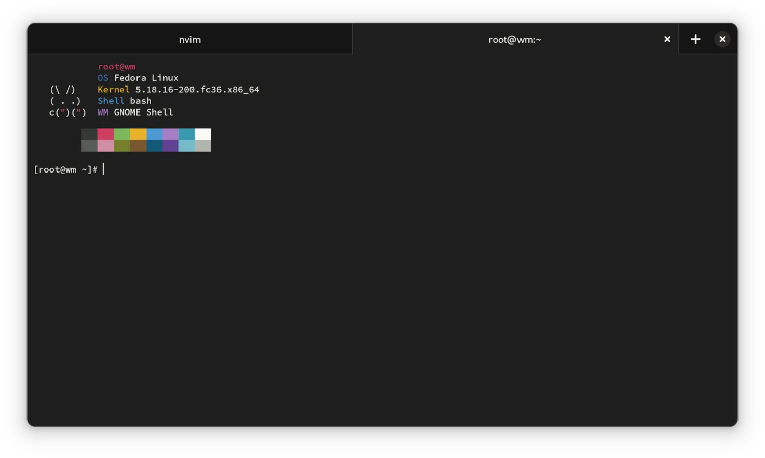 BlackBox terminal showing system information and a color palette